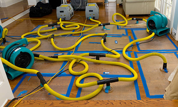 Professional Crawl Space Water Removal technician working in La Verkin, UT